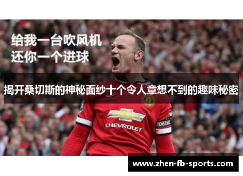 揭开桑切斯的神秘面纱十个令人意想不到的趣味秘密