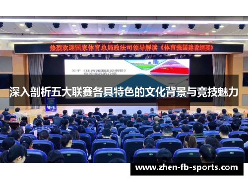 深入剖析五大联赛各具特色的文化背景与竞技魅力