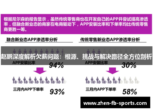 赵鹏深度解析欠薪问题：根源、挑战与解决路径全方位剖析