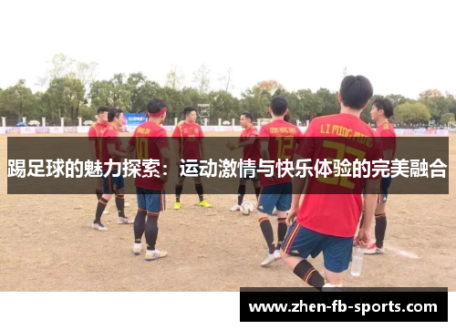 踢足球的魅力探索：运动激情与快乐体验的完美融合